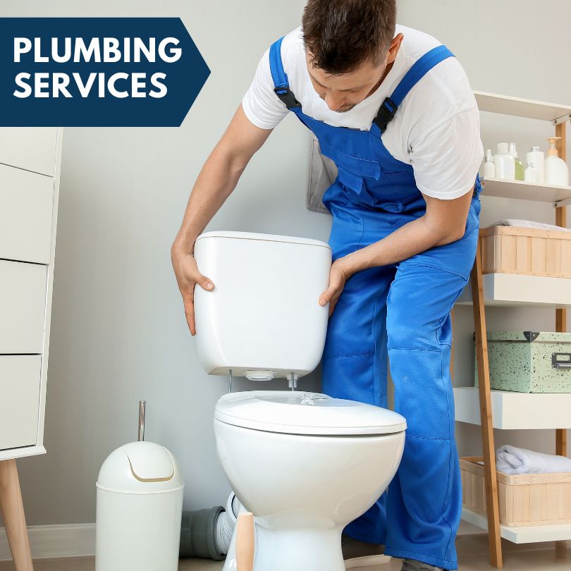 Plumbing Company in Wolverine, MI